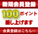 ���������Ͽ��100PGET
